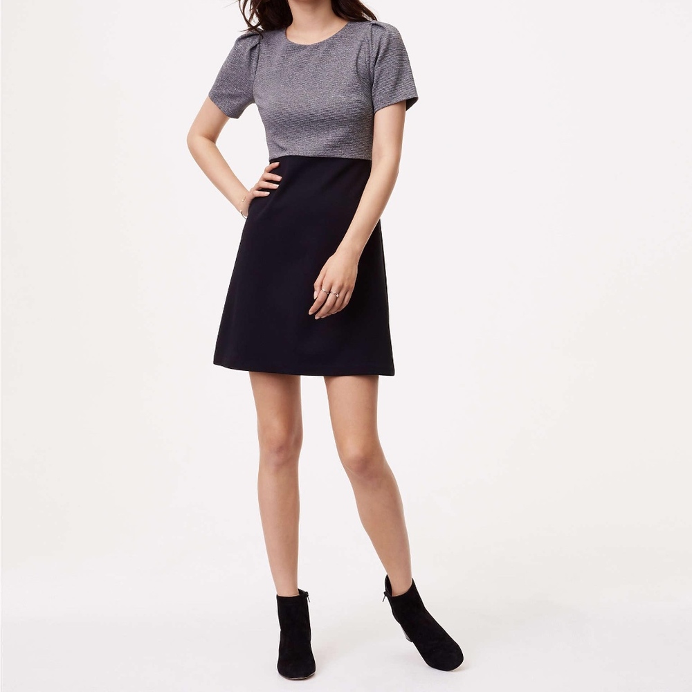 Loft Two Tone Puff Sleeve Dress -00P